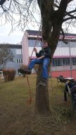 k-faschingsdienstag (2)